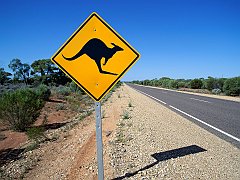 Kangaroo Crossing